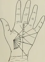 An illustration from Cheiro's language of the hand : complete practical work on the sciences of cheirognomy and cheiromancy, containing the system, rules, and experience of Cheiro [pseud.] fifty-five full-page illustrations, and over two hundred engravings of lines, mounts, and marks (1900)