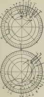 Picture 27 of 56 from Cheiro's language of the hand : complete practical work on the sciences of cheirognomy and cheiromancy, containing the system, rules, and experience of Cheiro [pseud.] fifty-five full-page illustrations, and over two hundred engravings of lines, mounts, and marks (1900), leaf 226