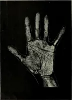 An illustration from Cheiro's language of the hand : complete practical work on the sciences of cheirognomy and cheiromancy, containing the system, rules, and experience of Cheiro [pseud.] fifty-five full-page illustrations, and over two hundred engravings of lines, mounts, and marks (1900)