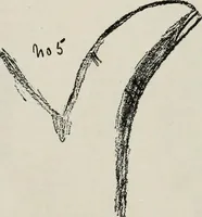Picture 7 of 56 from Cheiro's language of the hand : complete practical work on the sciences of cheirognomy and cheiromancy, containing the system, rules, and experience of Cheiro [pseud.] fifty-five full-page illustrations, and over two hundred engravings of lines, mounts, and marks (1900), leaf 79