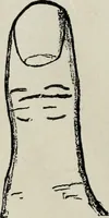 Picture 10 of 56 from Cheiro's language of the hand : complete practical work on the sciences of cheirognomy and cheiromancy, containing the system, rules, and experience of Cheiro [pseud.] fifty-five full-page illustrations, and over two hundred engravings of lines, mounts, and marks (1900), leaf 79