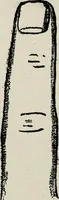 An illustration from Cheiro's language of the hand : complete practical work on the sciences of cheirognomy and cheiromancy, containing the system, rules, and experience of Cheiro [pseud.] fifty-five full-page illustrations, and over two hundred engravings of lines, mounts, and marks (1900)