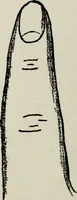 Picture 14 of 56 from Cheiro's language of the hand : complete practical work on the sciences of cheirognomy and cheiromancy, containing the system, rules, and experience of Cheiro [pseud.] fifty-five full-page illustrations, and over two hundred engravings of lines, mounts, and marks (1900), leaf 87
