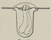 An illustration from The chemistry of the coal-tar colours (1886)
