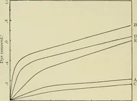 An illustration from The chemistry and physics of dyeing : being an account of the relations between fibres and dyes, the formulation of lakes, and the general reactions of colloids, and their solution state (1906)