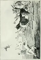 Picture 9 of 39 from Cheshire, its traditions and history, including a record of the rise and progress of freemasonry in this ancient province (1920), leaf 123