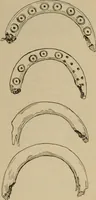 An illustration from Chess and playing cards (1898)