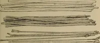 Picture 73 of 225 from Chess and playing cards (1898), leaf 130