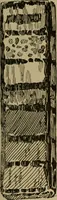 An illustration from Chess and playing cards (1898)