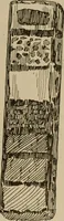An illustration from Chess and playing cards (1898)