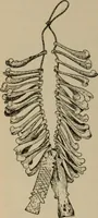 An illustration from Chess and playing cards (1898)