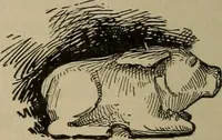 An illustration from Chess and playing cards (1898)
