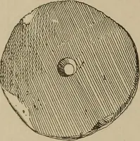 An illustration from Chess and playing cards (1898)