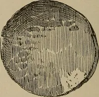 An illustration from Chess and playing cards (1898)