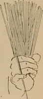 Picture 197 of 225 from Chess and playing cards (1898), leaf 314