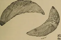 Picture 203 of 225 from Chess and playing cards (1898), leaf 328