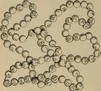 Picture 205 of 225 from Chess and playing cards (1898), leaf 333
