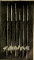 Picture 7 of 225 from Chess and playing cards (1898), leaf 38