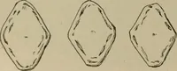 Picture 12 of 225 from Chess and playing cards (1898), leaf 45