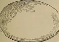 An illustration from Chess and playing cards (1898)