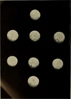 Picture 43 of 225 from Chess and playing cards (1898), leaf 87