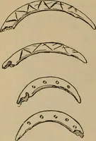 An illustration from Chess and playing cards (1898)