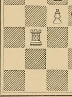 An illustration from Chess problems (1886)
