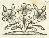An illustration from The Bishop of Chester's charge in his primary visitation at Chester, May 5, 1691 (1692)