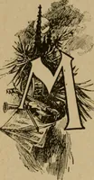 Picture 55 of 72 from Chicago by day and night (1892), leaf 217