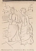 Picture 8 of 9 from Chicago stereotype works; (1889), leaf 15