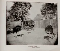 Picture 15 of 15 from Chicago Tribune glimpses of the World's fair; a selection of gems of the White city seen through the Tribune's camera (1893), leaf 193
