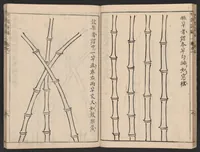 An illustration from Chikufu shōroku (1756)
