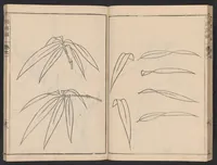 An illustration from Chikufu shōroku (1756)