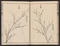 An illustration from Chikufu shōroku (1756)