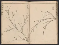 An illustration from Chikufu shōroku (1756)