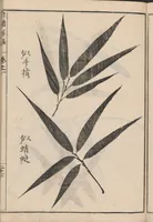 An illustration from Chikufu shōroku (1756)