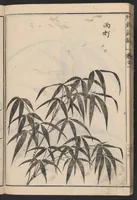 An illustration from Chikufu shōroku (1756)