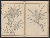 An illustration from Chikufu shōroku (1756)