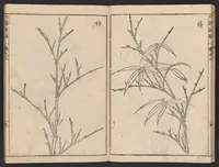 An illustration from Chikufu shōroku (1756)