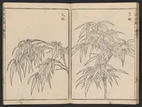 An illustration from Chikufu shōroku (1756)