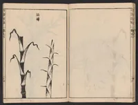 An illustration from Chikufu shōroku (1756)