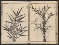 An illustration from Chikufu shōroku (1756)