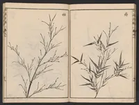 An illustration from Chikufu shōroku (1756)