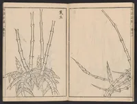 An illustration from Chikufu shōroku (1756)