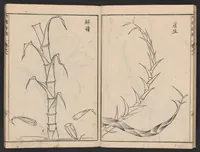 An illustration from Chikufu shōroku (1756)