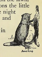 Picture 2 of 17 from The childhood of Ji-shib ́: the Ojibwa (1900), leaf 19
