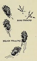 Picture 14 of 17 from The childhood of Ji-shib ́: the Ojibwa (1900), leaf 83