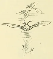 Picture 2 of 8 from Child life (1891), leaf 26