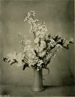 An illustration from Children and gardens (1908)