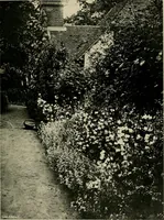 An illustration from Children and gardens (1908)